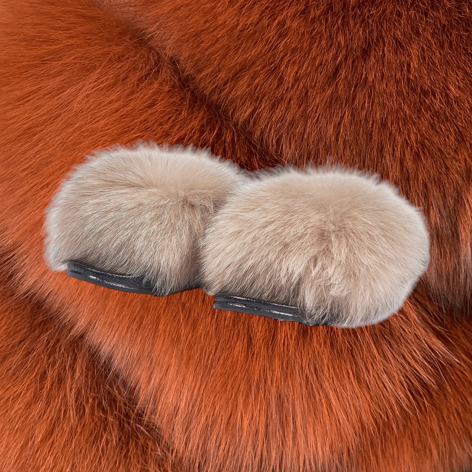 GINGER FUR BALL SLIDES